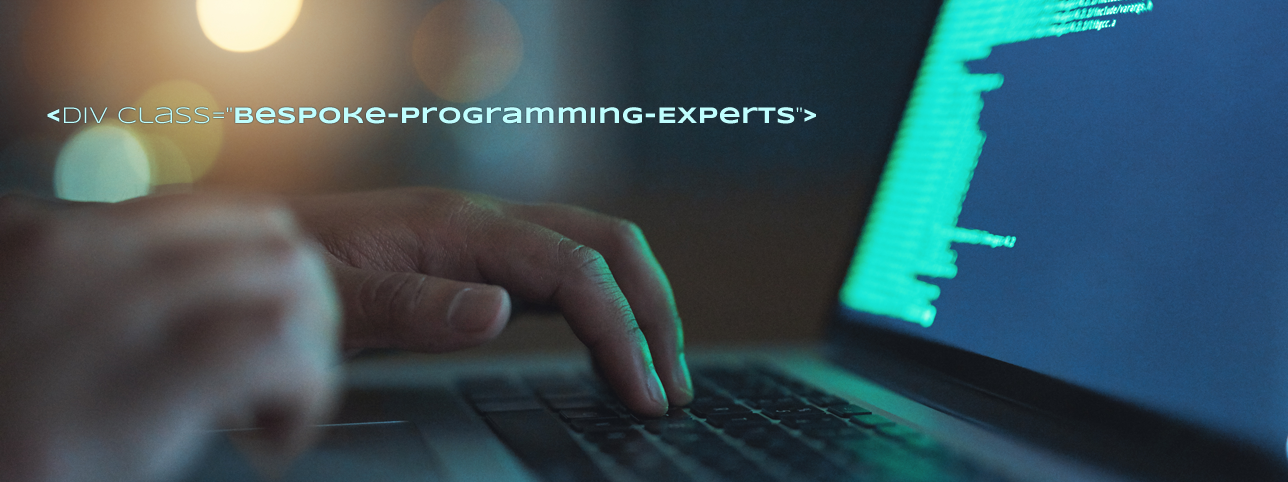 Bespoke Programming & Coding Experts